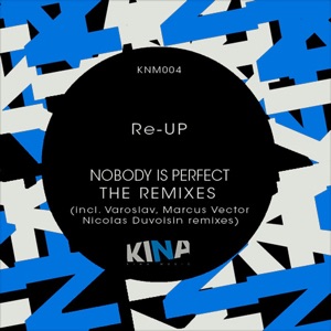 Nobody Is Perfect, The Remixes - EP