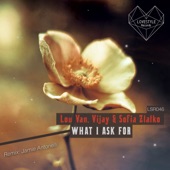 What I Ask For (Jamie Antonelli Remix) artwork