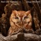Red Owl Ramble - Doug Mitchell lyrics