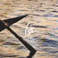 Paddles