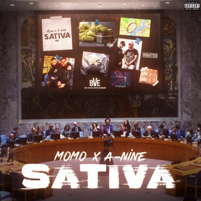 SATIVA (feat. A-nine) - Single