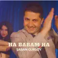 ha babam ha