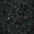Ashes
