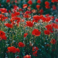 Dozing Off - Single - chief.