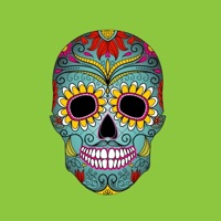 Vuelve - Single - Emma Danese