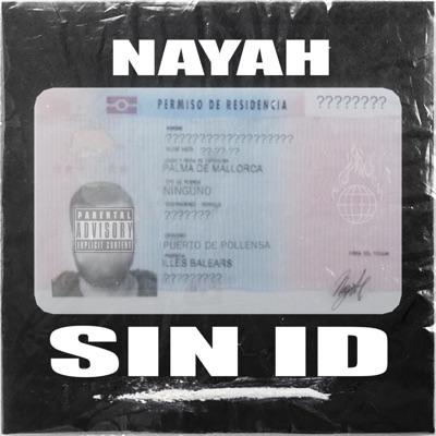 Sin ID (feat. Groove Digga) - Single