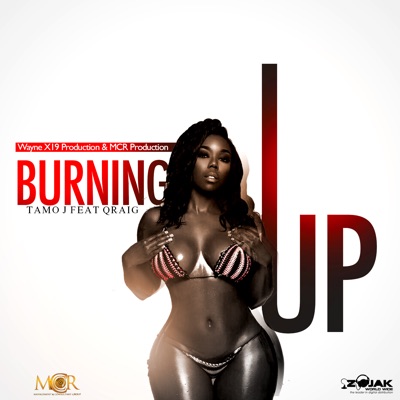 Burning Up (feat. Qraig Voicemail) - Single