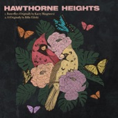 Hawthorne Heights - 8