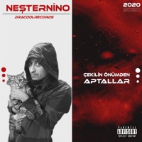 Çekilin Önümden Aptallar - Single - Neşternino