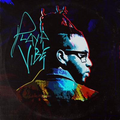 Playa Vibe - Single