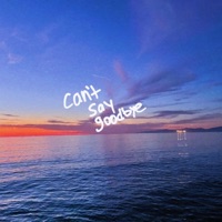 Can't Say Goodbye - Single - sammy rash