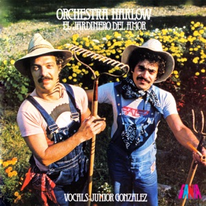 El Jardinero Del Amor (feat. Junior Gonzalez)
