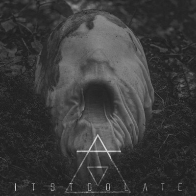 It's Too Late - Single