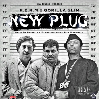 New Plug (feat. Gorilla Slim) - Single