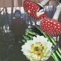 Sentieri oggi domani - Single - Pepe Nocciola & G Farmerz