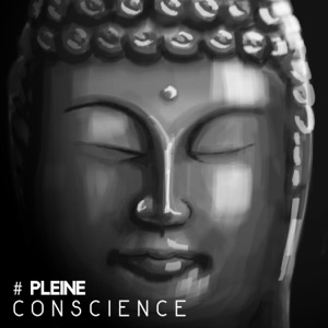 # Pleine conscience: Méditation pour l'équilibre intérieur, Guérison spirituelle, Apaiser son âme