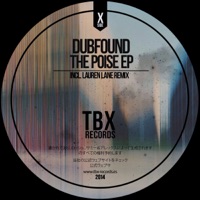 The Poise - Dubfound