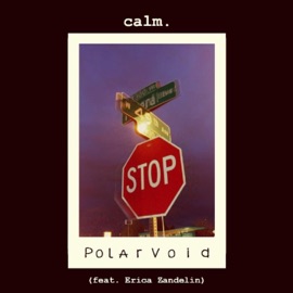 Polarvoid (feat. Erica Zandelin) Calm.