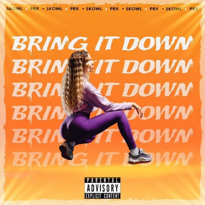 BRING IT DOWN (feat. SKOWL & MJT Studio Records) - Single