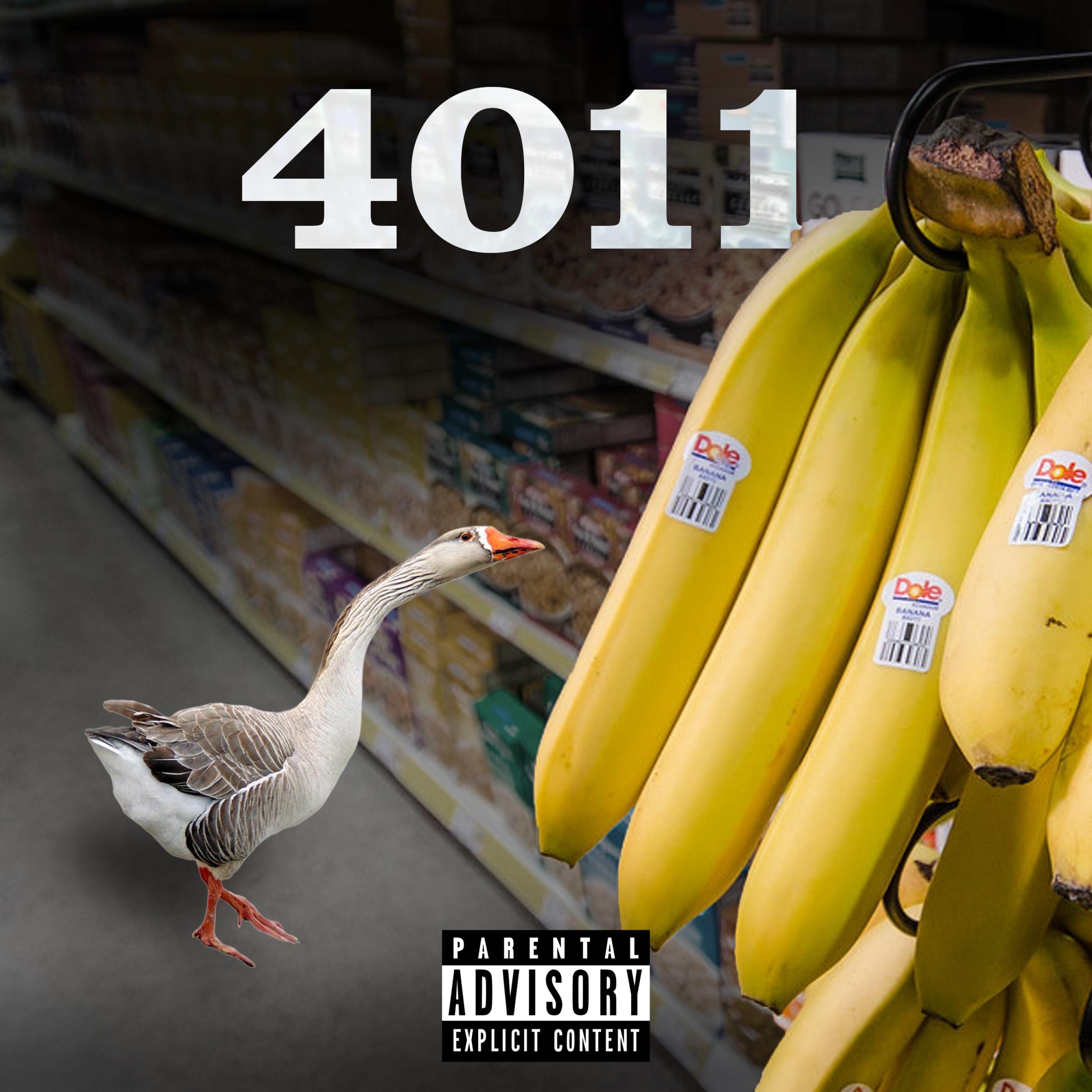 4011 - Single