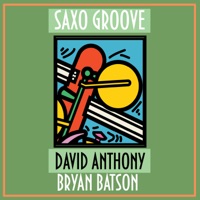 Saxo Groove (Radio Mix) [feat. Bryan Batson] - Single - David Anthony