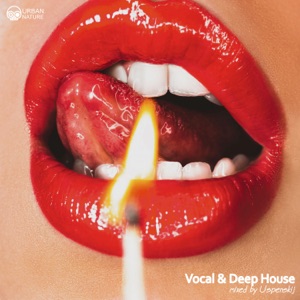 Best Vocal & Deep House (DJ Mix)