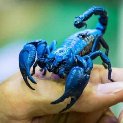 Liar (Radio Edit) - Single