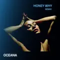 Honey Why (Melis Treat Remix)