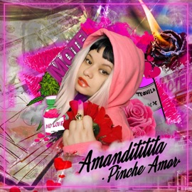 Pinche Amor (feat. La Favi & El Licenciado) Amandititita