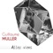 Allez viens - Guillaume Muller lyrics