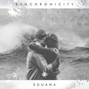 Synchronicity