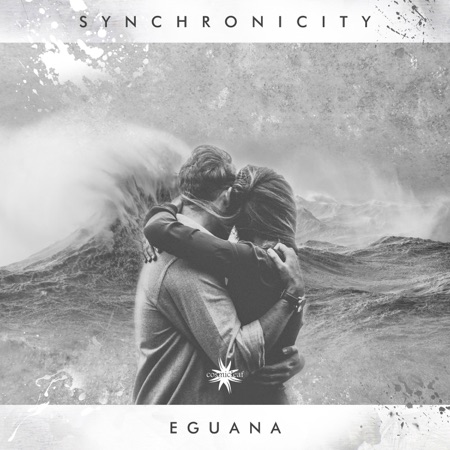 Synchronicity