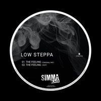 The Feeling - Single - Low Steppa