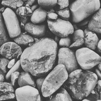 The Reef - EP - Pedro Sanmartin