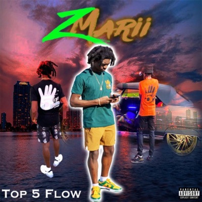 Top 5 flow - Single