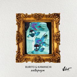 Аквариум Burito & KAMANCHI