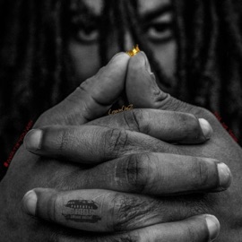 All in (feat. Jay Ophishal) CrownChaz