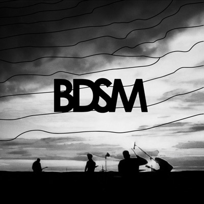 Bdsm, Vol. 1