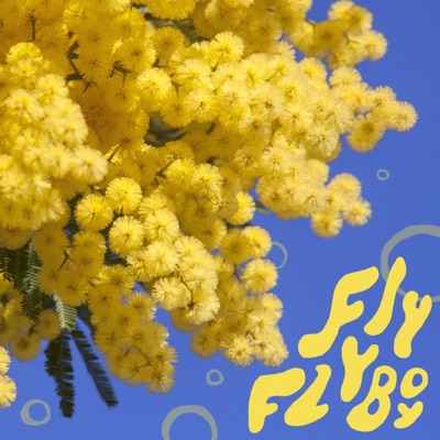 Fly Fly Boy (feat. Sherm STX & Donovan Bogney) - Single