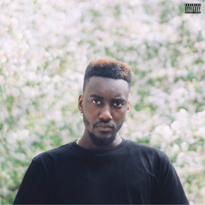 Soulful Midori - EP