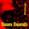 Dum Dumb - Single