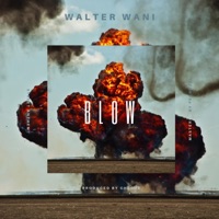 Blow - Single - Walter Wani