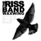 Folk Song (Rose Coloured Glasses) - The Riss Band lyrics