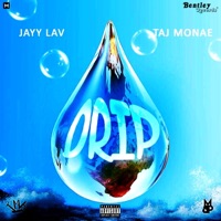 Drip (feat. Taj Monae) - Single - Jayy Lav