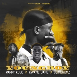 Young Boy (feat. Pappy Kojo, Kwame Dame & SlimDrumz) Dredw