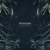 Poldoore - Roses
