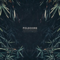 Forevermore - EP - Poldoore