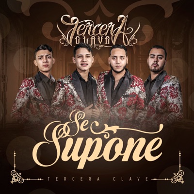 Se Supone - Single