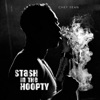 Stash In the Hoopty (feat. Blaze) - Single