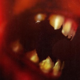 Demons Hider